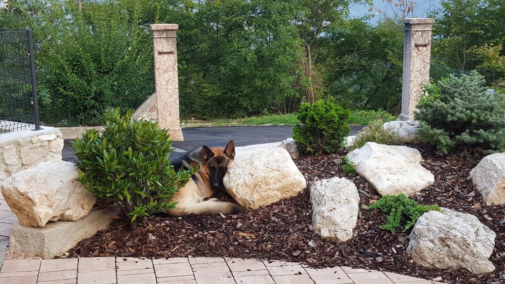 Agriturismo Al Maniero Trydent Zewnętrze zdjęcie